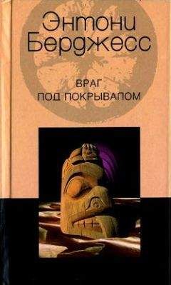 Читайте книги онлайн на Bookidrom.ru! Бесплатные книги в одном клике Энтони Бёрджес - Враг под покрывалом