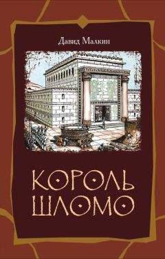 Читайте книги онлайн на Bookidrom.ru! Бесплатные книги в одном клике Давид Малкин - Король Шломо