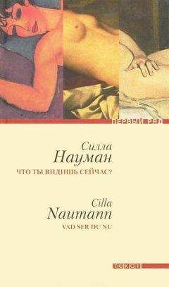 Читайте книги онлайн на Bookidrom.ru! Бесплатные книги в одном клике Силла Науман - Что ты видишь сейчас?