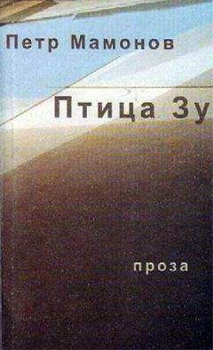 Читайте книги онлайн на Bookidrom.ru! Бесплатные книги в одном клике Петр Мамонов - Птица Зу