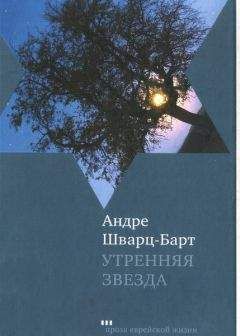 Читайте книги онлайн на Bookidrom.ru! Бесплатные книги в одном клике Андре Шварц-Барт - Утренняя звезда