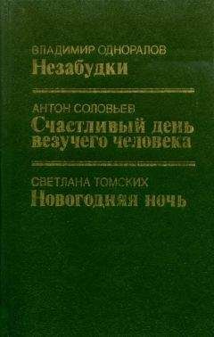 Читайте книги онлайн на Bookidrom.ru! Бесплатные книги в одном клике Светлана Томских - Новогодняя ночь