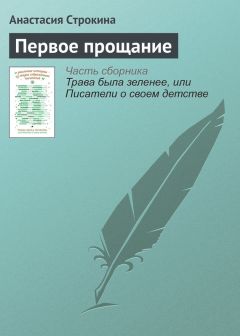 Читайте книги онлайн на Bookidrom.ru! Бесплатные книги в одном клике Анастасия Строкина - Первое прощание