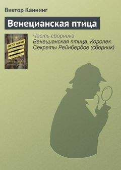 Читайте книги онлайн на Bookidrom.ru! Бесплатные книги в одном клике Виктор Каннинг - Венецианская птица