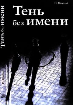 Читайте книги онлайн на Bookidrom.ru! Бесплатные книги в одном клике Игнасио Падилья - Тень без имени