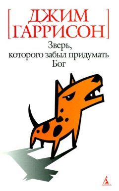 Читайте книги онлайн на Bookidrom.ru! Бесплатные книги в одном клике Джим Гаррисон - Зверь, которого забыл придумать Бог