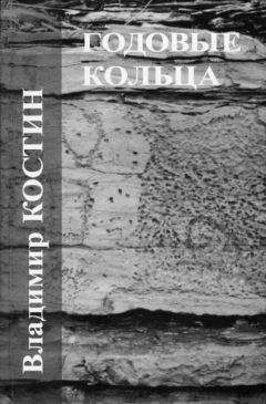 Читайте книги онлайн на Bookidrom.ru! Бесплатные книги в одном клике Владимир Костин - Стихия