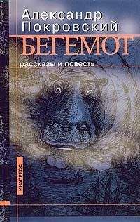Читайте книги онлайн на Bookidrom.ru! Бесплатные книги в одном клике Александр Покровский - Метаболизм (сборник рассказов)