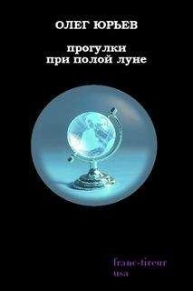 Читайте книги онлайн на Bookidrom.ru! Бесплатные книги в одном клике Олег Юрьев - Прогулки при полой луне: