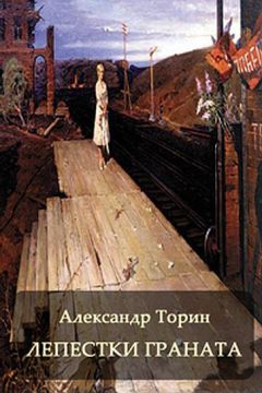 Читайте книги онлайн на Bookidrom.ru! Бесплатные книги в одном клике Александр Торин - Лепестки Граната