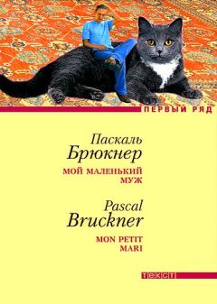 Читайте книги онлайн на Bookidrom.ru! Бесплатные книги в одном клике Паскаль Брюкнер - Мой маленький муж