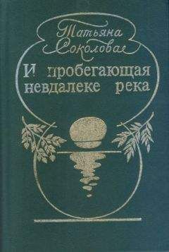 Читайте книги онлайн на Bookidrom.ru! Бесплатные книги в одном клике Татьяна Соколова - Хождения Черепашки