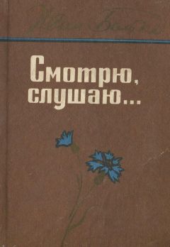 Читайте книги онлайн на Bookidrom.ru! Бесплатные книги в одном клике Иван Бойко - Смотрю, слушаю...