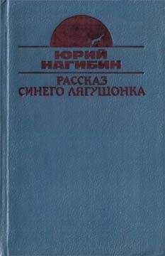 Читайте книги онлайн на Bookidrom.ru! Бесплатные книги в одном клике Юрий Нагибин - Постоянный подписчик
