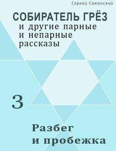 Читайте книги онлайн на Bookidrom.ru! Бесплатные книги в одном клике Сергей Саканский - Разбег и пробежка (сборник)