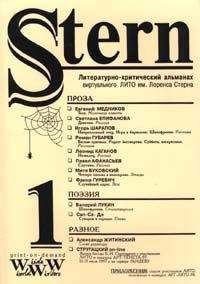 Читайте книги онлайн на Bookidrom.ru! Бесплатные книги в одном клике Павел Афанасьев - Спутник