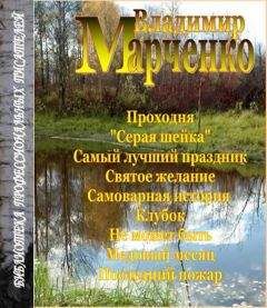 Читайте книги онлайн на Bookidrom.ru! Бесплатные книги в одном клике Владимир Марченко - Последний пожар