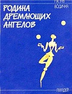 Читайте книги онлайн на Bookidrom.ru! Бесплатные книги в одном клике Густав Водичка - Родина дремлющих ангелов