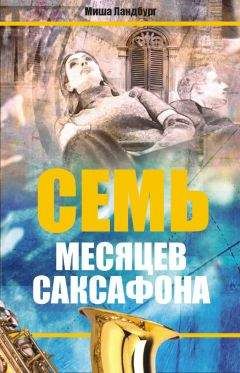 Читайте книги онлайн на Bookidrom.ru! Бесплатные книги в одном клике Миша Ландбург - Семь месяцев саксофона