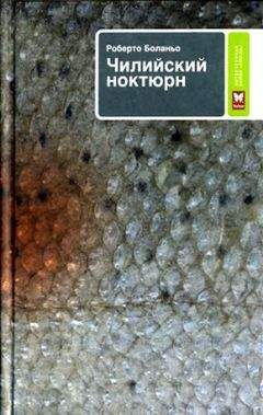 Читайте книги онлайн на Bookidrom.ru! Бесплатные книги в одном клике Роберто Боланьо - Далекая звезда