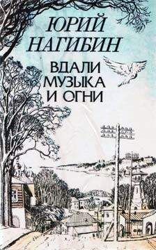 Читайте книги онлайн на Bookidrom.ru! Бесплатные книги в одном клике Юрий Нагибин - Как я ходил в публичку