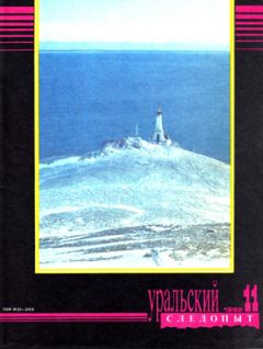 Читайте книги онлайн на Bookidrom.ru! Бесплатные книги в одном клике Владислав Акимов - Одна лошадиная сила