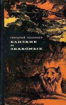 Читайте книги онлайн на Bookidrom.ru! Бесплатные книги в одном клике Григорий Полянкер - Дядя Миша