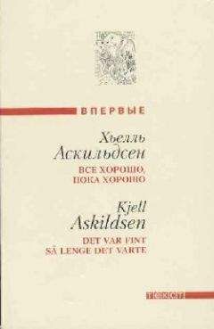 Читайте книги онлайн на Bookidrom.ru! Бесплатные книги в одном клике Хьелль Аскильдсен - Последние заметки Томаса Ф.