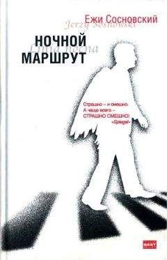 Читайте книги онлайн на Bookidrom.ru! Бесплатные книги в одном клике Ежи Сосновский - Остановка