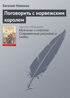 Читайте книги онлайн на Bookidrom.ru! Бесплатные книги в одном клике Евгений Новиков - Поговорить с норвежским королем