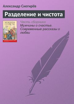 Читайте книги онлайн на Bookidrom.ru! Бесплатные книги в одном клике Александр Снегирёв - Разделение и чистота