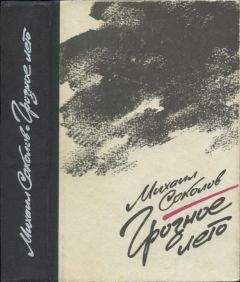 Читайте книги онлайн на Bookidrom.ru! Бесплатные книги в одном клике Михаил Соколов - Грозное лето