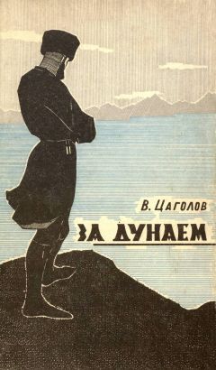 Читайте книги онлайн на Bookidrom.ru! Бесплатные книги в одном клике Василий Цаголов - За Дунаем