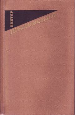 Читайте книги онлайн на Bookidrom.ru! Бесплатные книги в одном клике Виктор Шкловский - За и против. Заметки о Достоевском