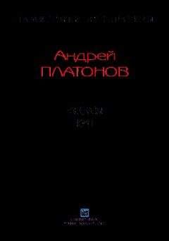 Читайте книги онлайн на Bookidrom.ru! Бесплатные книги в одном клике Андрей Платонов - Рассказы.Том 1