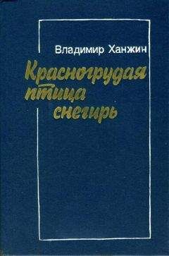 Читайте книги онлайн на Bookidrom.ru! Бесплатные книги в одном клике Владимир Ханжин - Красногрудая птица снегирь