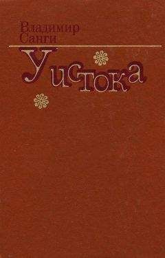 Читайте книги онлайн на Bookidrom.ru! Бесплатные книги в одном клике Владимир Санги - Изгин