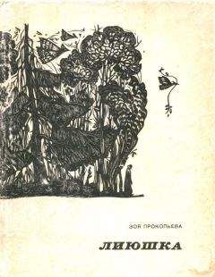 Читайте книги онлайн на Bookidrom.ru! Бесплатные книги в одном клике Зоя Прокопьева - Лиюшка