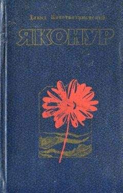 Читайте книги онлайн на Bookidrom.ru! Бесплатные книги в одном клике Давид Константиновский - Яконур