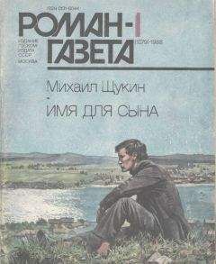 Читайте книги онлайн на Bookidrom.ru! Бесплатные книги в одном клике Михаил Щукин - Имя для сына