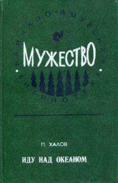 Читайте книги онлайн на Bookidrom.ru! Бесплатные книги в одном клике Павел Халов - Иду над океаном