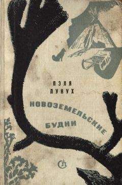 Читайте книги онлайн на Bookidrom.ru! Бесплатные книги в одном клике Тимофей Синицын (Пэля Пунух) - Стрела восстания