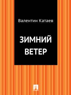 Читайте книги онлайн на Bookidrom.ru! Бесплатные книги в одном клике Валентин Катаев - Зимний ветер