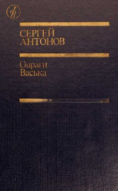 Читайте книги онлайн на Bookidrom.ru! Бесплатные книги в одном клике Сергей Антонов - Овраги