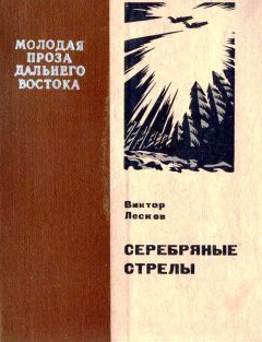 Читайте книги онлайн на Bookidrom.ru! Бесплатные книги в одном клике Виктор Лесков - Серебряные стрелы