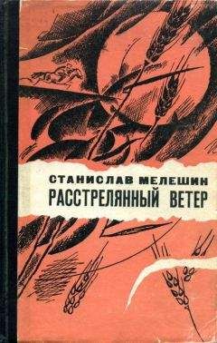 Читайте книги онлайн на Bookidrom.ru! Бесплатные книги в одном клике Станислав Мелешин - Расстрелянный ветер