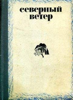 Читайте книги онлайн на Bookidrom.ru! Бесплатные книги в одном клике Виктор Потанин - Северный ветер