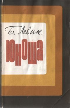 Читайте книги онлайн на Bookidrom.ru! Бесплатные книги в одном клике Борис Левин - Юноша