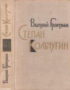 Читайте книги онлайн на Bookidrom.ru! Бесплатные книги в одном клике Василий Гроссман - Степан Кольчугин. Книга вторая