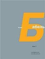 Читайте книги онлайн на Bookidrom.ru! Бесплатные книги в одном клике Исаак Бабель - Том 2. Конармия